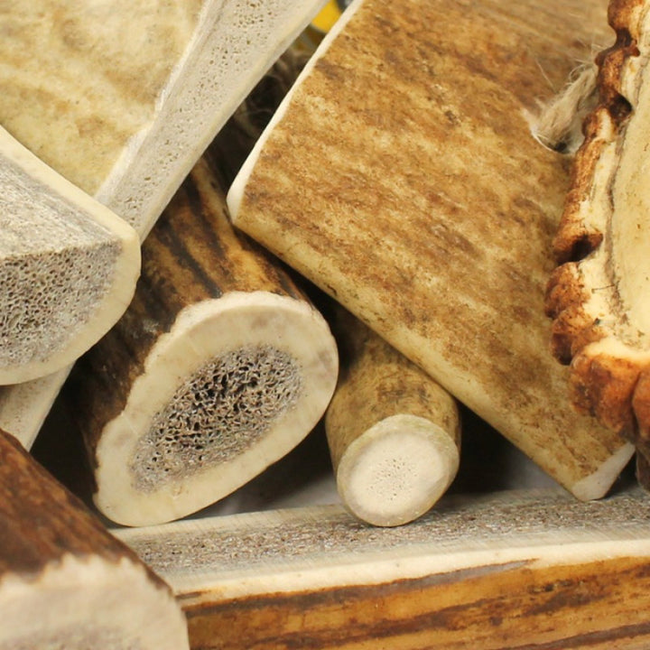 Original Antler Chew