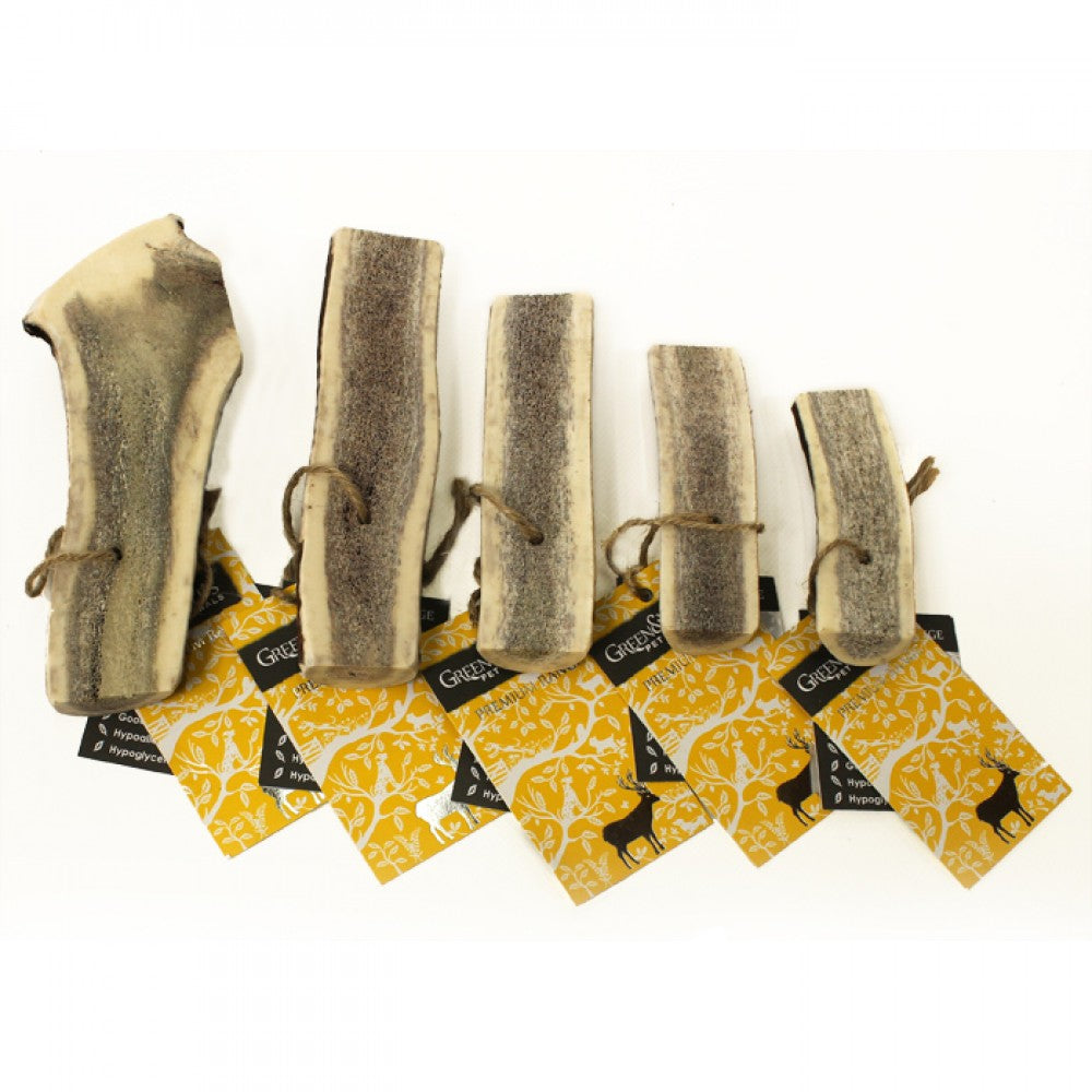 Easy Antler Chew