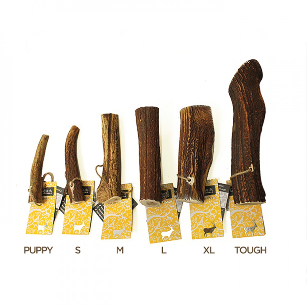 Original Antler Dog Chew (Discounted)