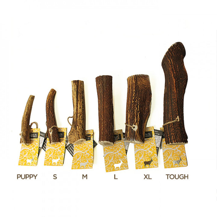 Original Antler Dog Chew (Discounted)