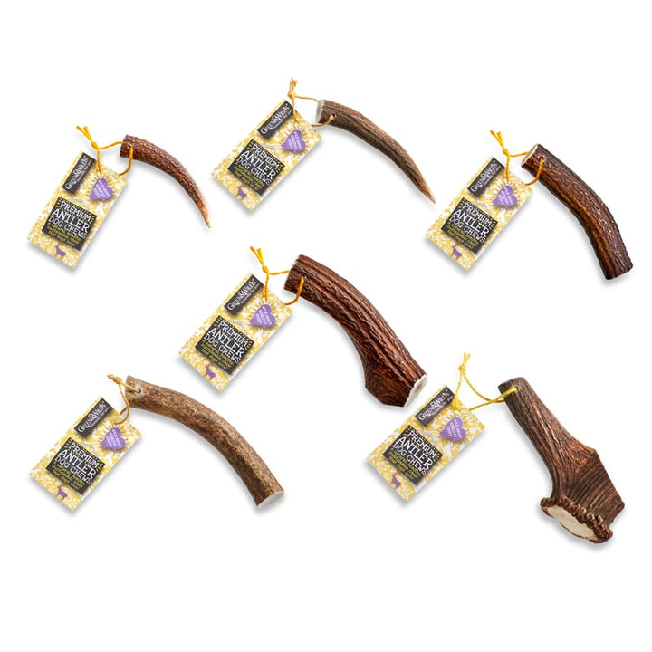 Original Antler Chew