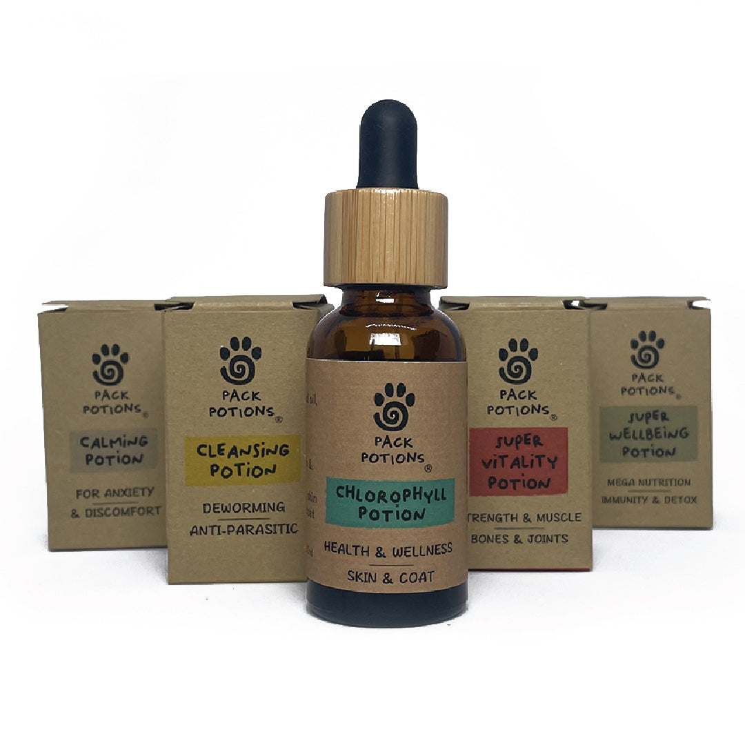 Skin & Coat Repair Bundle (Cats)