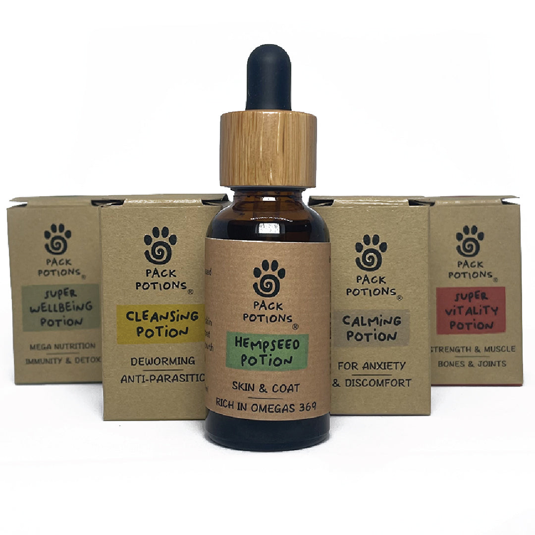 Bone, Muscle, & Joint Repair Bundle (Cats)