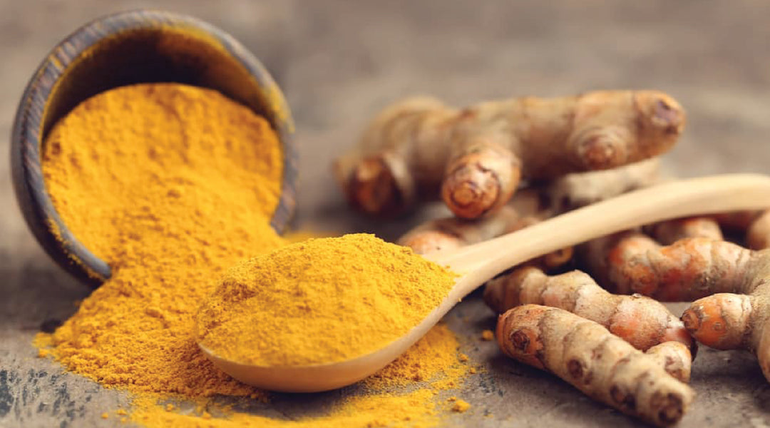 Turmeric: A Golden Addition to Your Pet's Meal