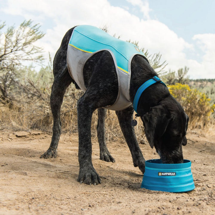 Jet Stream Cooling Vest