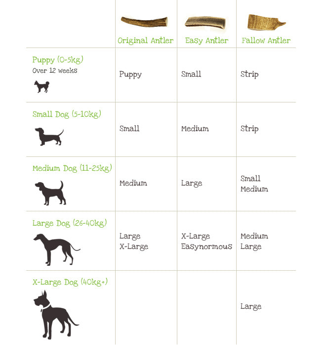 Easy Antler Dog Chew