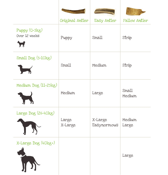 Easy Antler Dog Chew - OLD BATCH (Discounted)