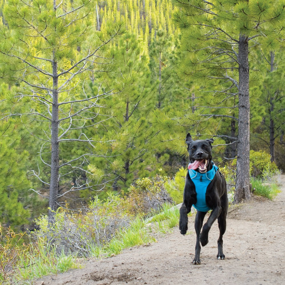 Front Range Harness