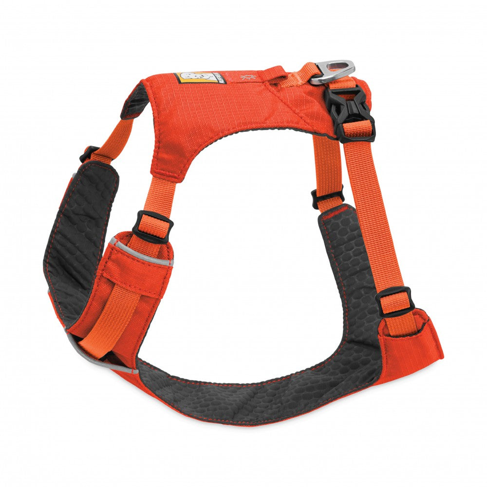 Hi & Light Harness