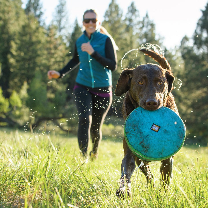 Frisbee