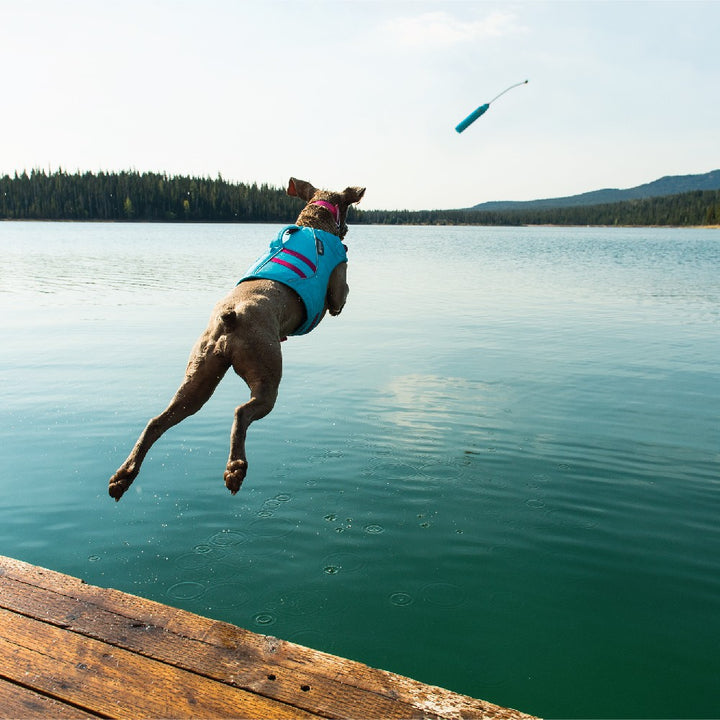 Lunker Floating Toy