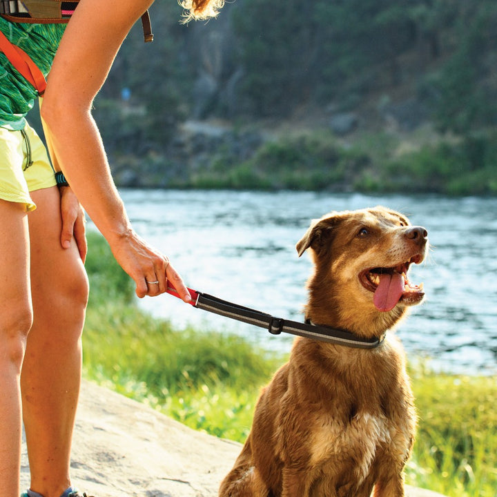 QuickDraw Leash