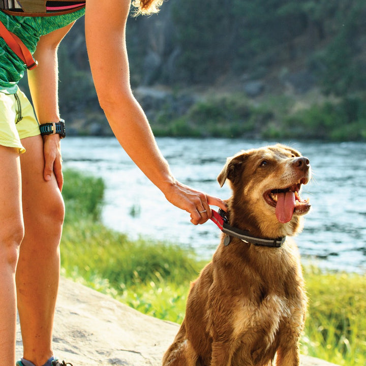 QuickDraw Leash