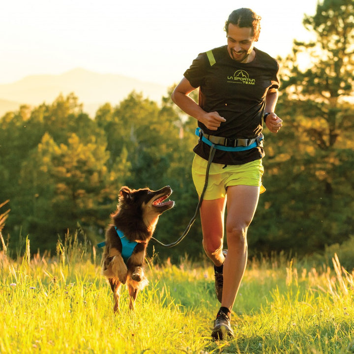 Ridgeline Leash