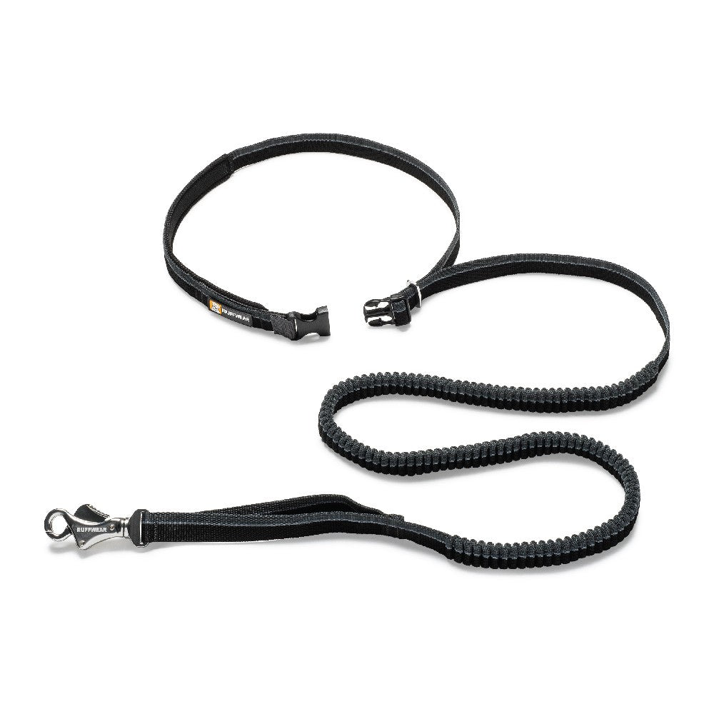 Roamer Leash