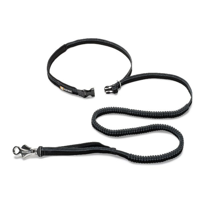 Roamer Leash