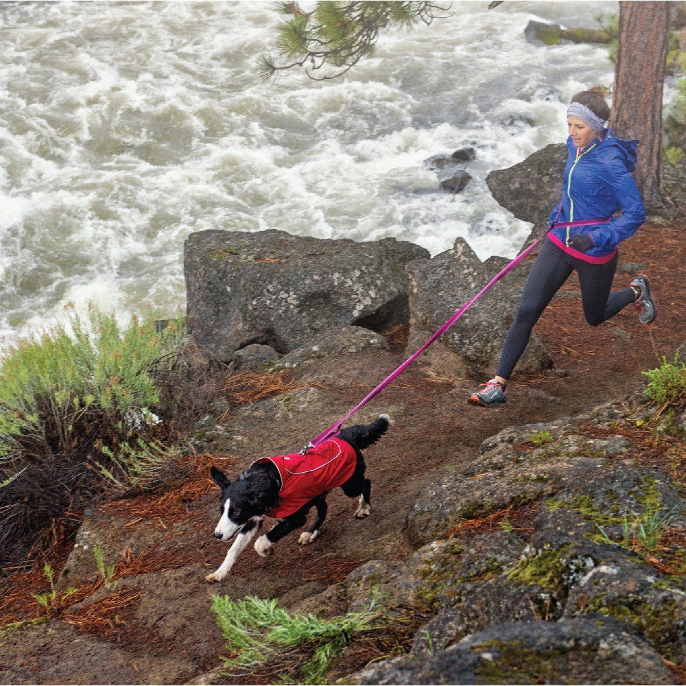 Roamer Leash