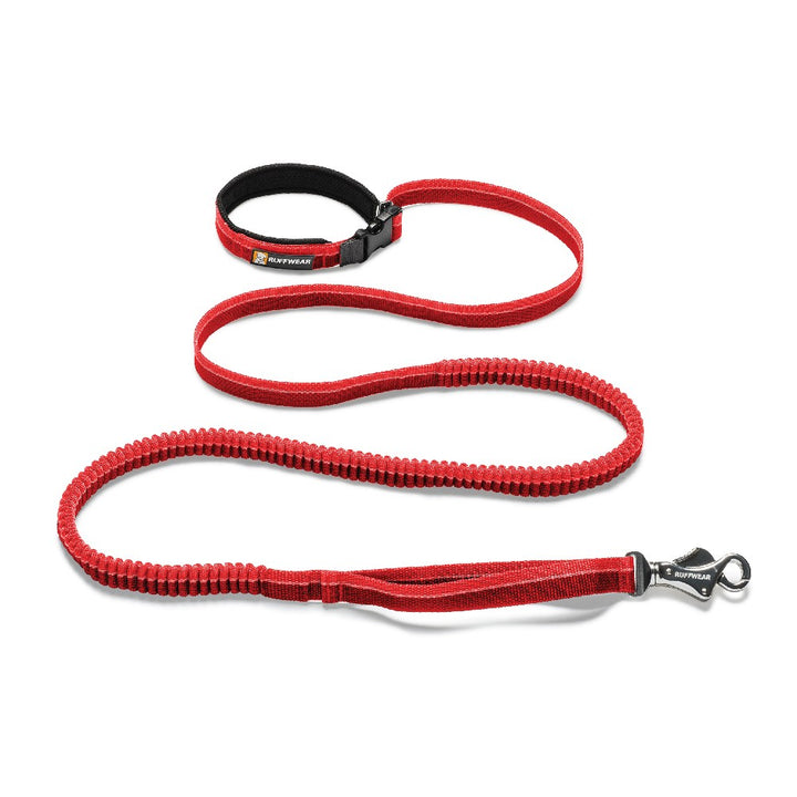 Roamer Leash