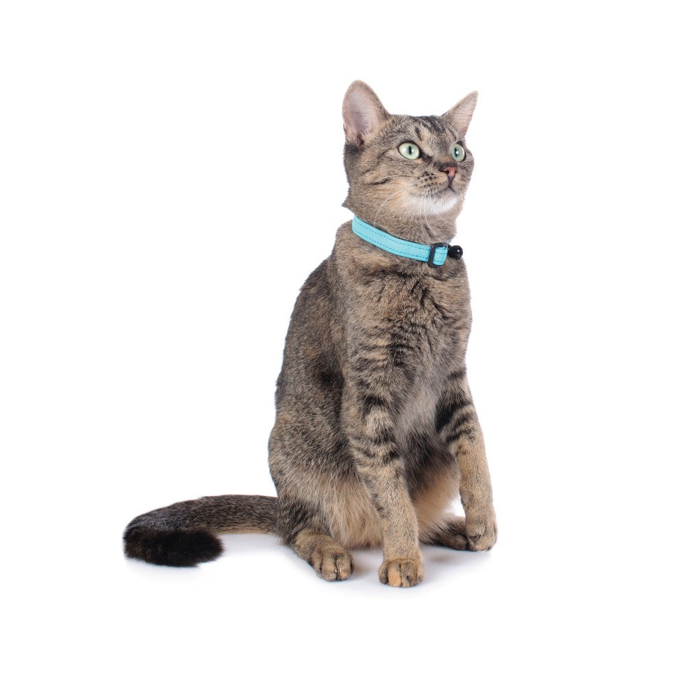 Softie Collar (Cats)