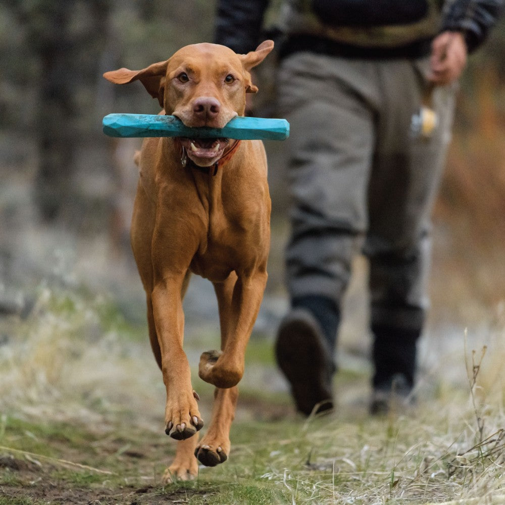 Gnawt A Stick