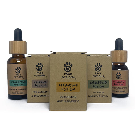 Anti-parasitic & Gut Cleanse Bundle (Dogs)