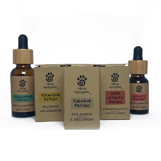 Brain & Nerve Repair Bundle (Cats)