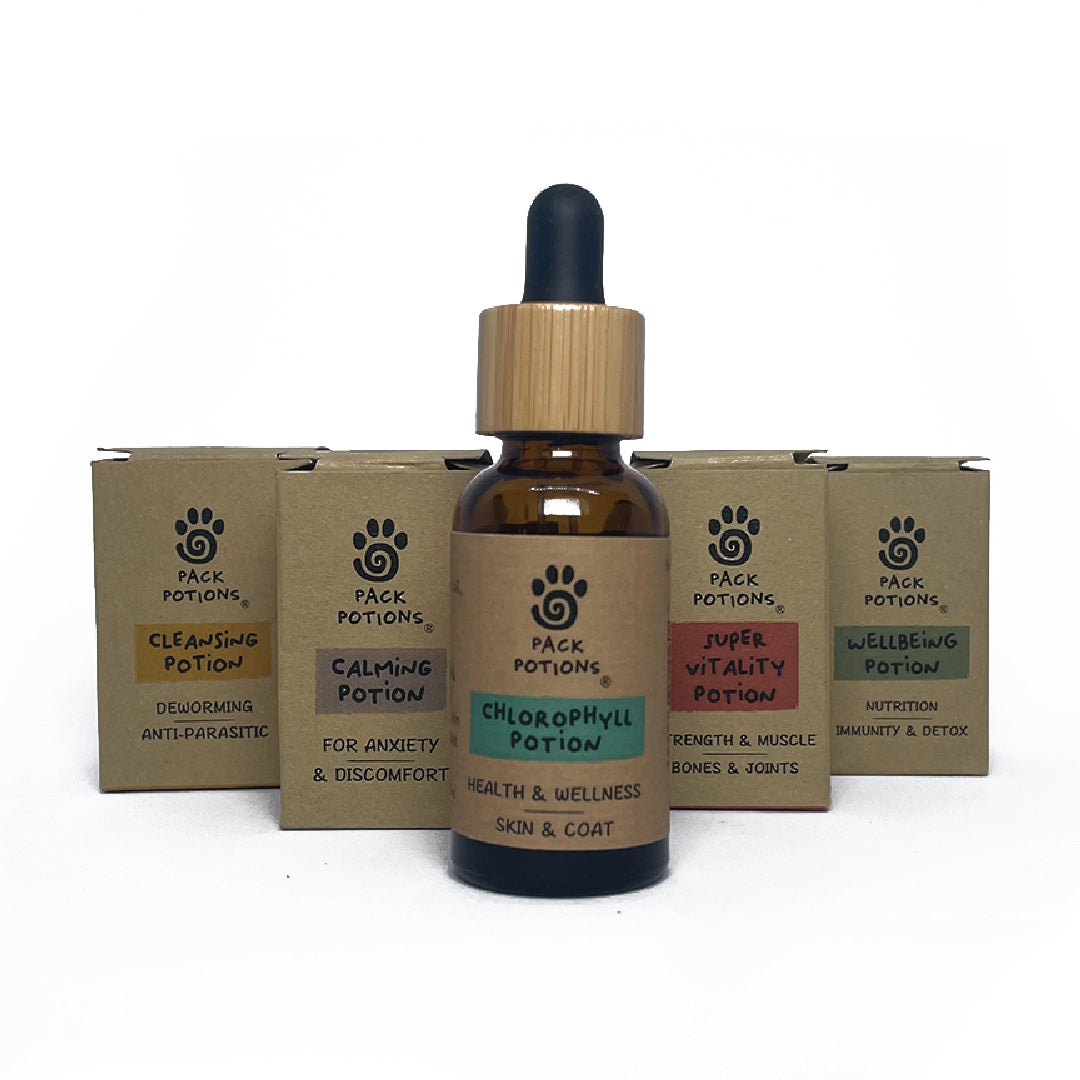 Liver Cleanse Bundle (Dogs)