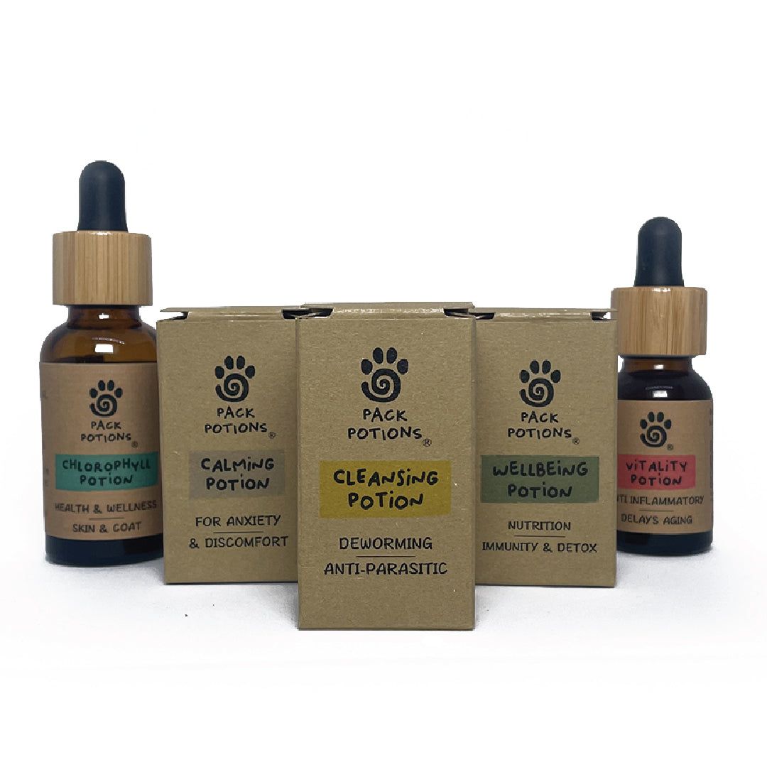 Anti-parasitic & Gut Cleanse Bundle (Cats)