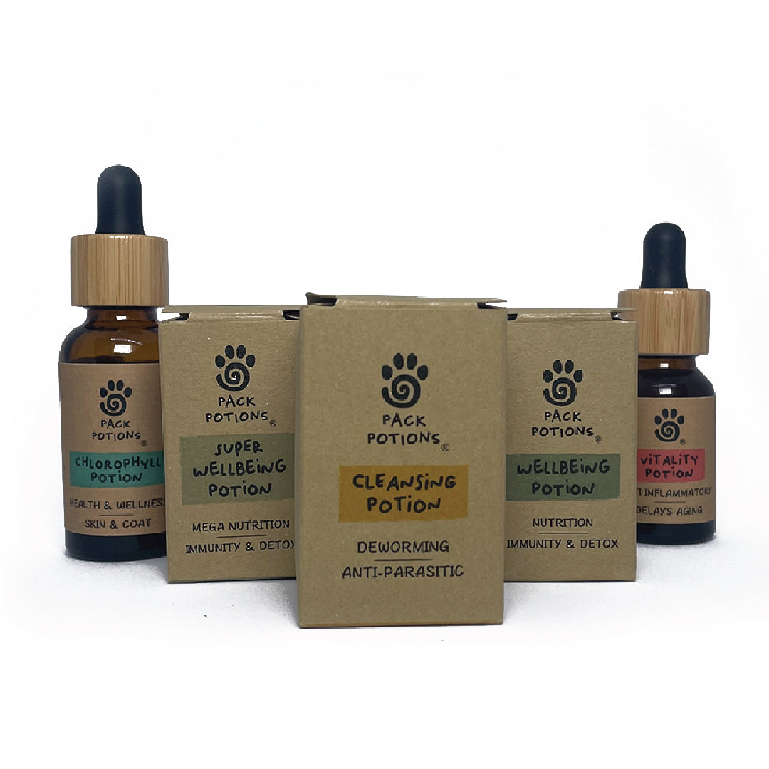 Kidney & Heavy Metals Cleanse Bundle (Dogs)